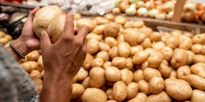 “नया आलू” नहीं, जहर का खेल: गोरखपुर मंडी से खुली साजिश की परत